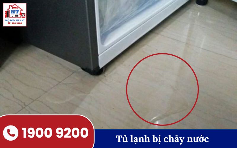 Hình ảnh minh họa tủ lạnh bị chảy nước.